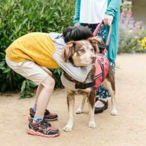 Dog Good for Kids?