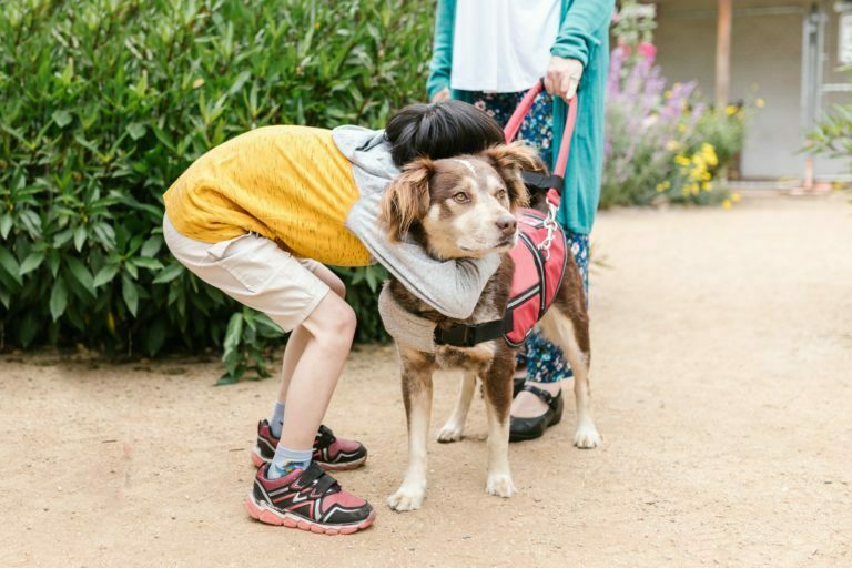 Dog Good for Kids?