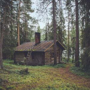 a wooden cabin in the woods